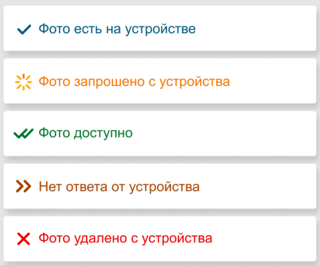 photomonitoring5.png